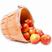 Apple Juice Powder Organic