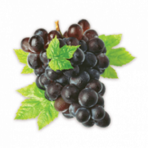 Grape Juice Powder, Organic
