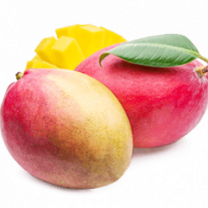 Mango Fruit Powder, Organic