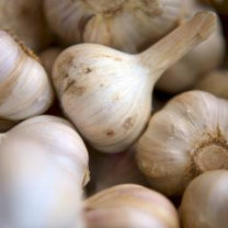 Garlic Powder, Organic