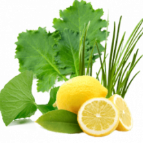 Green Balance Alkalizing Blend®, Organic