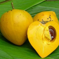 Lucuma Powder, Organic
