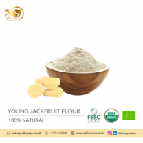 Premium Quality Young Jack Fruit Flour from Sri Lanka
