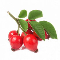 Rosehip Powder, Organic