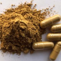 Organic Sarsaparilla Capsules in Bulk for Wholesale Price