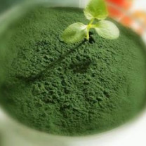 Spirulina Powder, Organic