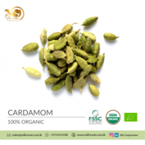 2022 Fresh Quality Dried Ceylon Organic Green Cardamom Pods
