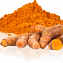 Premium Quality Organic Ceylon Turmeric Powder from Sri Lanka