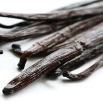 Premium Quality Organic Ceylon Vanilla from Sri Lanka