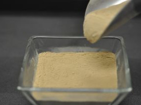 Brown Rice Protein Powder 80%, Organic