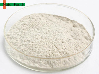 Organic Hemp Protein Powder