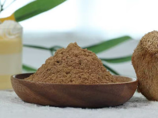 Organic Lion&#039;s mane Powder | Hericium Erinaceus Extract Powder 1:1
