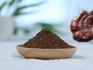 Organic Reishi Powder | Ganoderma Lucidum Extract Powder 1:1