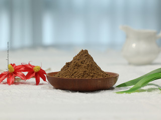 Organic Mushroom Blend Extract (Lion&#039;s mane, Reishi, Maitake, Shiitake, Cordyceps, Chaga, Turkey tail)
