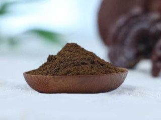 Organic Reishi Extract ( 15:1) | Ganoderma Lucidum Extract