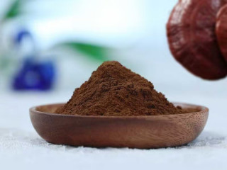 Organic Reishi Dual Extract ( 15:1) | Ganoderma Lucidum Dual Extract