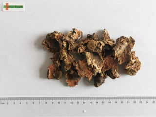 organic rhodiola rosea powder