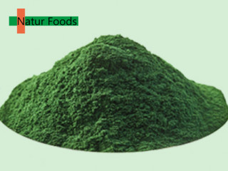Factory Supply Food Grade Organic Spirulina Powder