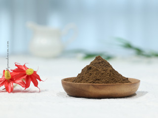 Organic Mushroom Blend Powder (Reishi, Lion&#039;s mane, Maitake, Shiitake, Cordyceps, Chaga, Turkey tail， Tremella，Oyster mushroom，Black fungus）