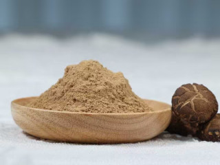Organic Shiitake powder | Lentinus Edodes Extract Powder 1:1