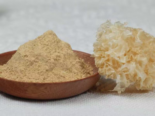Organic White fungus Powder | Tremella fuciformis Extract Powder 1:1