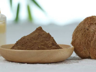 Organic Lion&#039;s mane (Hericium erinaceus) Dual Extract 4:1