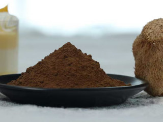 Organic Lion&#039;s mane Dual Extract (8:1) | Hericium Erinaceus Dual Extract