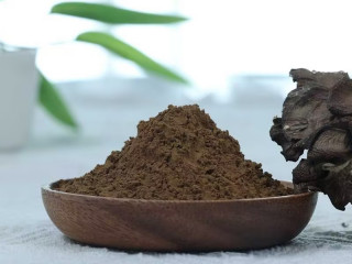 Organic Maitake (Grifola frondosa) Extract 4:1