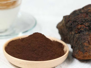 Organic Chaga mushroom Extract (8:1) | Inonotus Obliquus extract