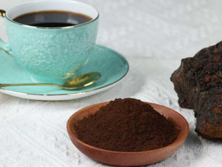 Organic Chaga (Inonotus obliquus) Dual Extract 4:1