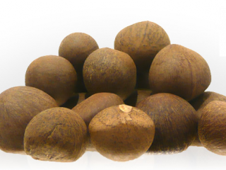 Green Tea Seed Oil