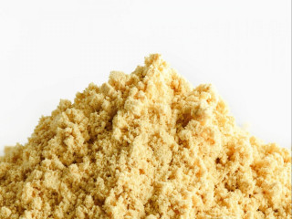 Ginger Organic Premium Powder - REVdried (Beyond Freeze dried)