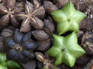 Sacha Inchi Powder, Organic
