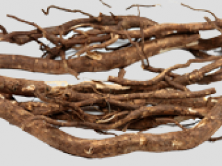 Siberian Ginseng Powder Organic