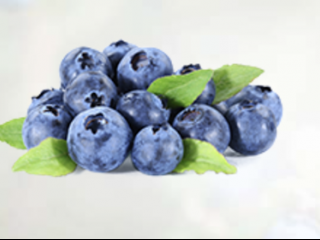 Blueberry Juice Powder Organic