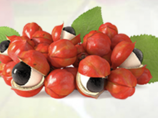 Guarana Extract Powder Organic