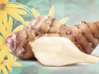 Inulin Extract Powder Organic (Jerusalem Artichoke)