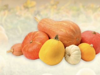 Pumpkin Powder Organic