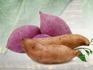 Sweet Potato Powder Organic