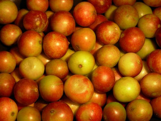 Camu Camu Powder, Organic