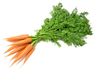 Carrot Juice Powder, Organic