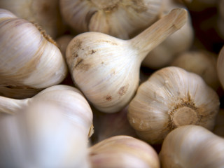 Garlic Powder, Organic