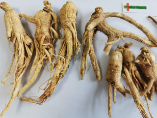 Organic Panax Ginseng Root