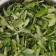 Organic Ceylon Curry Leaves  Whole