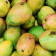 Mango Organic Premium Powder - REVdried (Beyond Freeze dried)