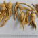 Organic Panax Ginseng Root
