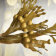 Bladderwrack Powder Organic