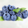 Blueberry Juice Powder Organic