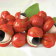 Guarana Extract Powder Organic