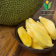Organic Young Jackfruit Dehydrated